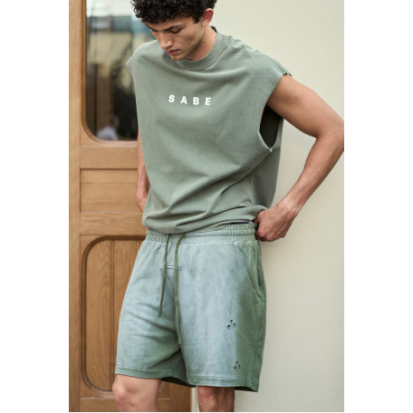 Шорты Sabe Shorts Washed Green