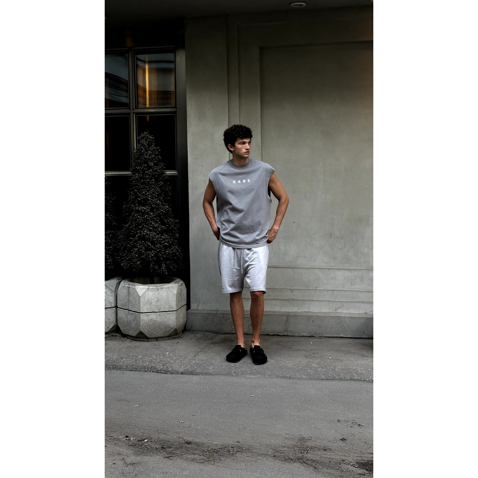Шорты Sabe Shorts Washed Grey